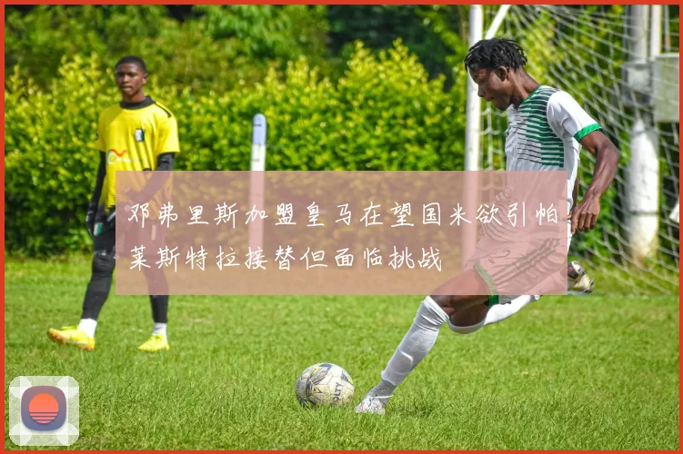 邓弗里斯加盟皇马在望国米欲引帕莱斯特拉接替但面临挑战