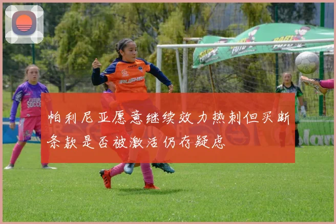 帕利尼亚愿意继续效力热刺但买断条款是否被激活仍存疑虑